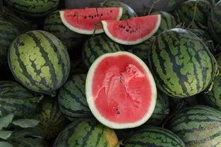 趴着吃瓜,品味生活百态