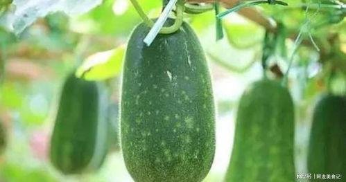 几月吃瓜,盘点当月热门事件与趣味话题