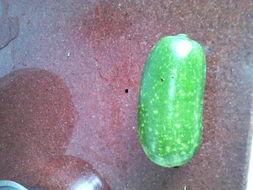 怀孕可以吃护瓜吗,护瓜在孕期中的适宜食用与注意事项