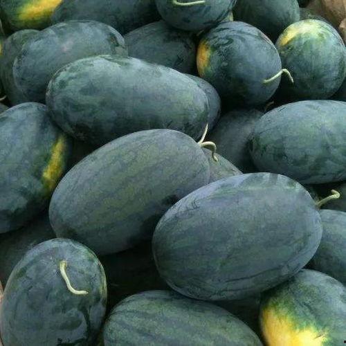 武穴铭宝吃瓜事件,一场网络热议的真相探寻之旅