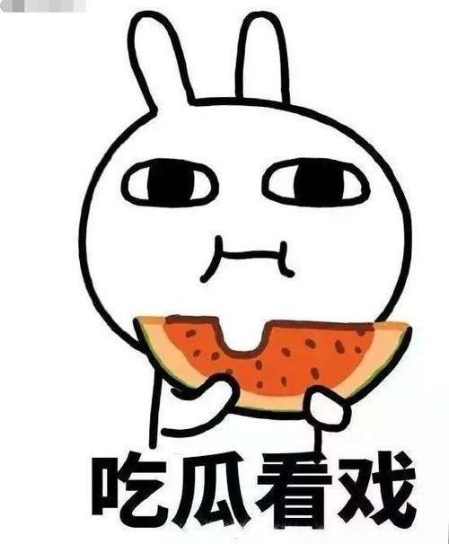 吃瓜难眠,吃瓜难眠，揭秘明星幕后故事