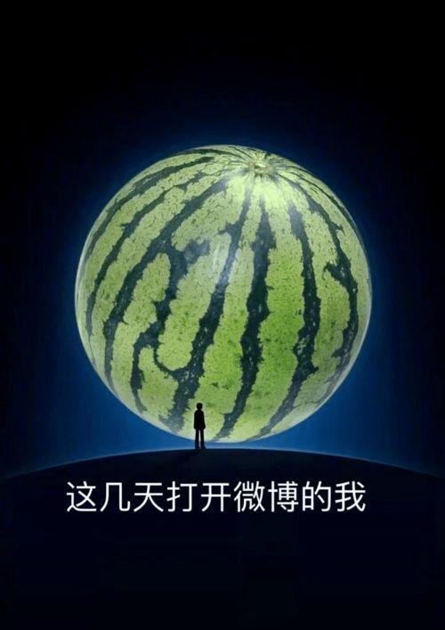 吃瓜也养瓜 微博,微博带你领略瓜界新风尚”