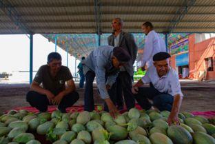 商务吃瓜,揭秘职场背后的故事与真相