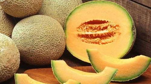 河南吃哈密瓜,甜蜜滋味尽在口中