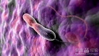 吃瓜会传染霍乱吗