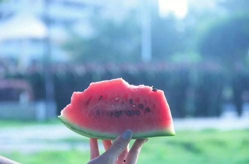 吃瓜看世界,吃瓜群众视角下的全球风云变幻